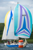 scintilla of the sea 920y whyw16 sun 800 1150w